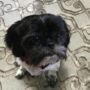 Meet your Posher, Vicky